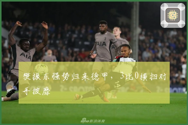 樊振东强势归来德甲，3比0横扫对手披靡