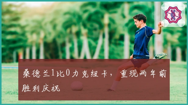 桑德兰1比0力克纽卡，重现两年前胜利庆祝