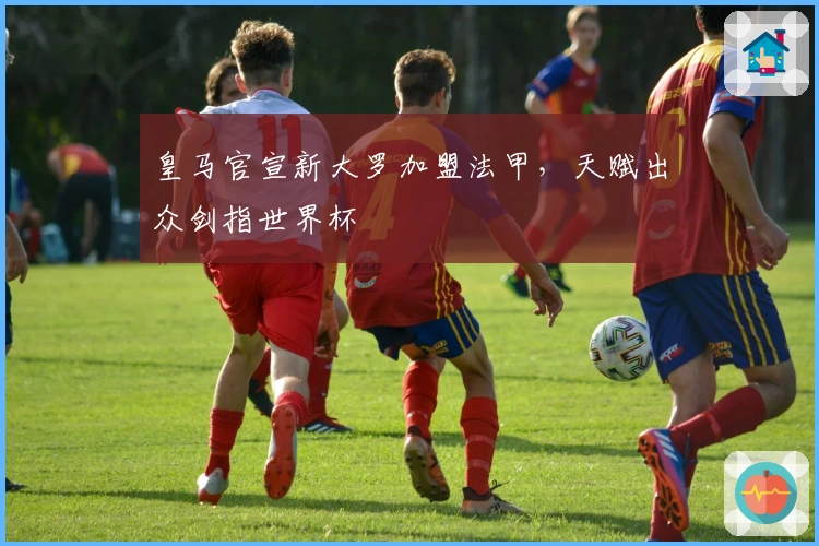 皇马官宣新大罗加盟法甲，天赋出众剑指世界杯