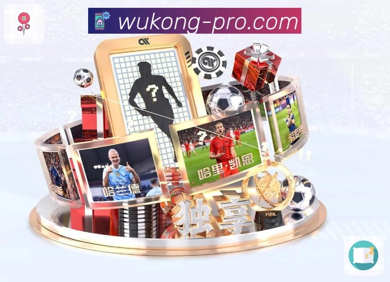 服务项目模块化